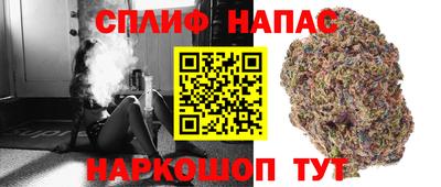 прущие грибы Мариинск