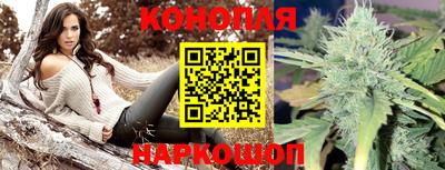 прущие грибы Мариинск
